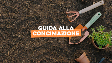 Concimazione piante: la guida definitiva
