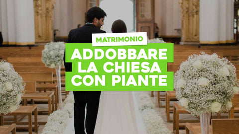 Addobbi Chiesa Matrimonio con Piante: Eleganza Naturale nel Tuo Giorno Speciale