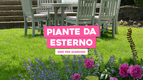 Composizione piante da esterno: idee per il tuo giardino