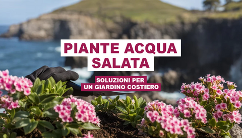 Piante Acqua Salata: Soluzioni per un Giardino Costiero