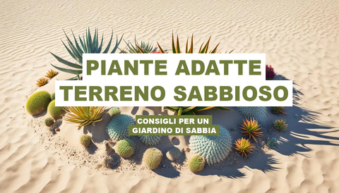 Piante Adatte Terreno Sabbioso: Consigli per un Giardino di Sabbia