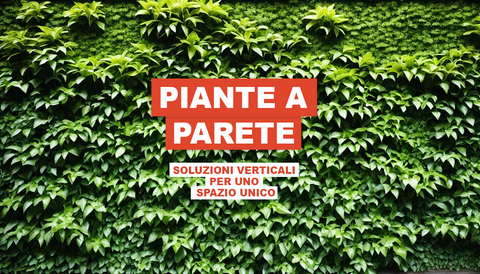Piante a Parete: Soluzioni Verticali per uno Spazio Unico