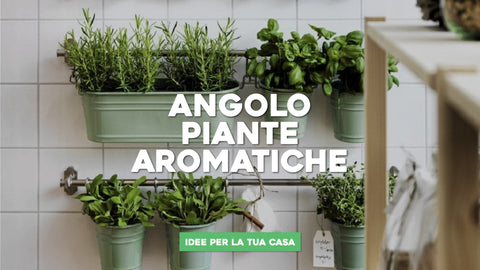Angolo piante aromatiche: idee per la tua casa