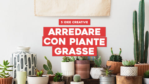Arredare con piante grasse: 5 idee creative