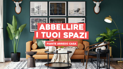 Piante arredo casa: tante idee per abbellire i tuoi spazi