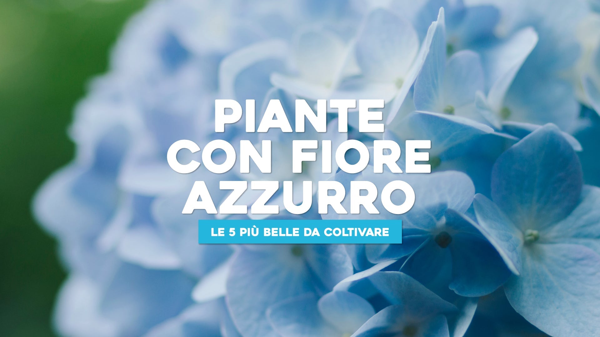 Palo Da Giardino In Metallo Riciclato Fatto A Mano, Fiore Azzurro, Arte Da Cortile, 18 Pollici, S&S Welding - Foto 3