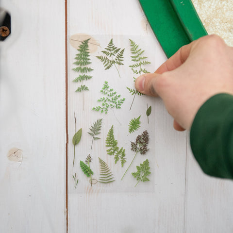 Simegarden Adesivi piante