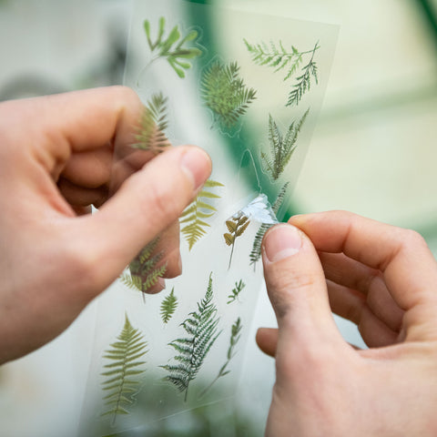 Simegarden Adesivi piante