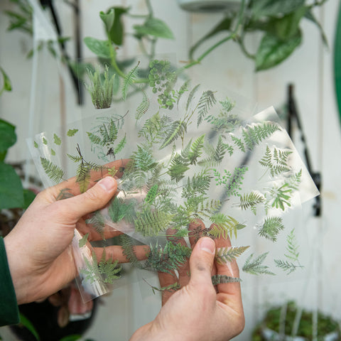 Simegarden Adesivi piante