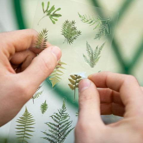 Simegarden Adesivi piante