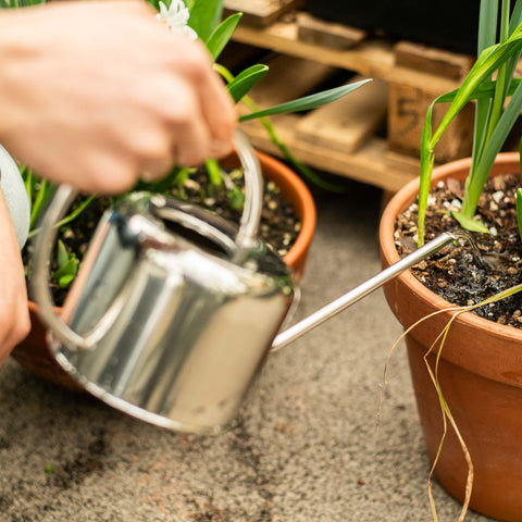 Simegarden Annaffiatoio acciaio 1 L