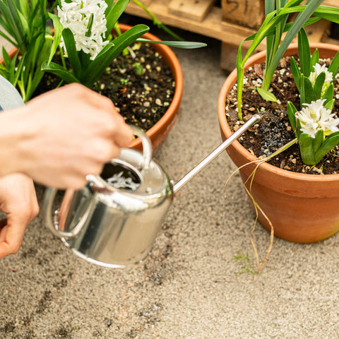 Simegarden Annaffiatoio acciaio 1 L