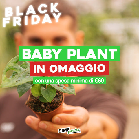 Simegarden Baby Pianta Omaggio