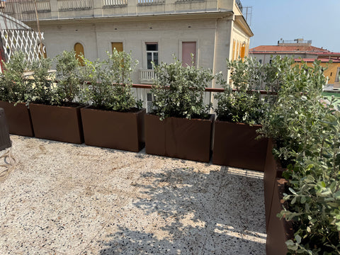 Simegarden Balconetta Fenice 55