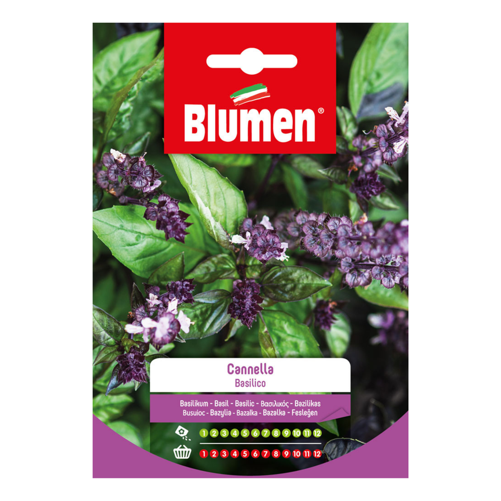 Semi Di Basilico All'Aroma Di Cannella | 50 Semi Per Coltivazione - Foto 13