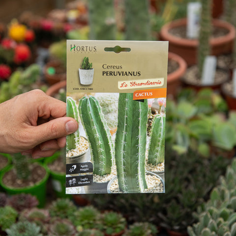 Simegarden Cactus cereus peruvianus Semi