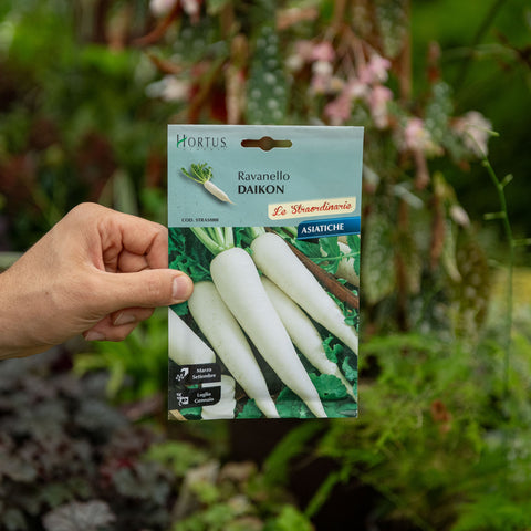 Simegarden Daikon semi