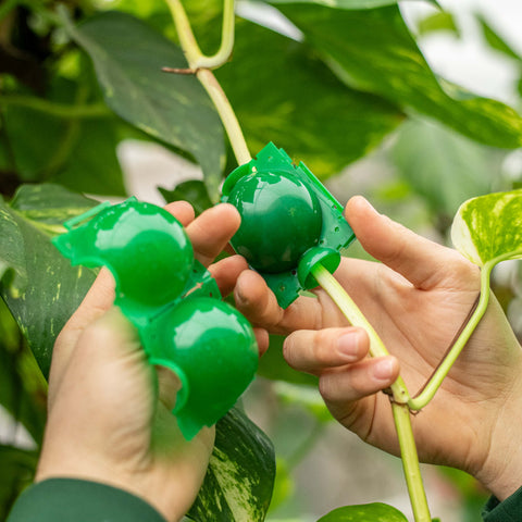 Simegarden Dispositivo di Radicazione 12 mm