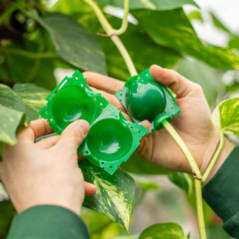 Simegarden Dispositivo di Radicazione 12 mm