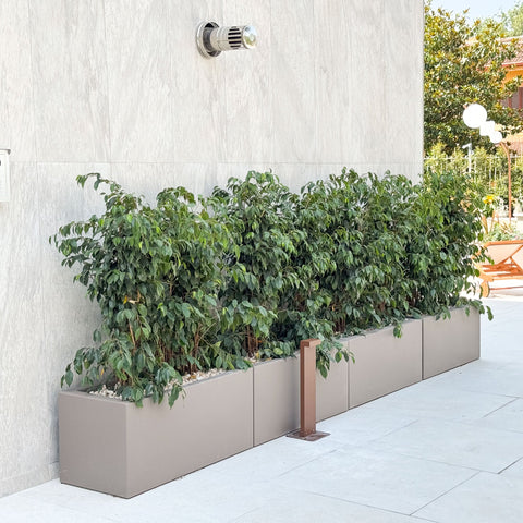 Simegarden Fioriera rettangolare cassetta Fenice