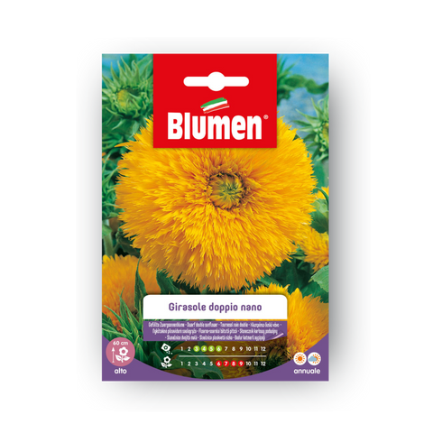 Simegarden Girasole doppio nano semi
