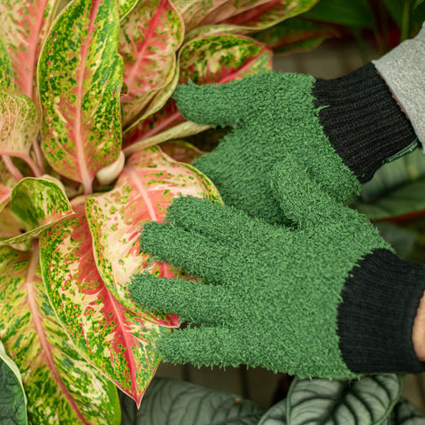 Simegarden Guanti per pulire foglie Unica