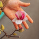 Simegarden Magnolia satisfaction 24 cm / >60 cm