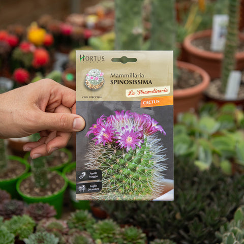 Simegarden Mammillaria cacti Semi