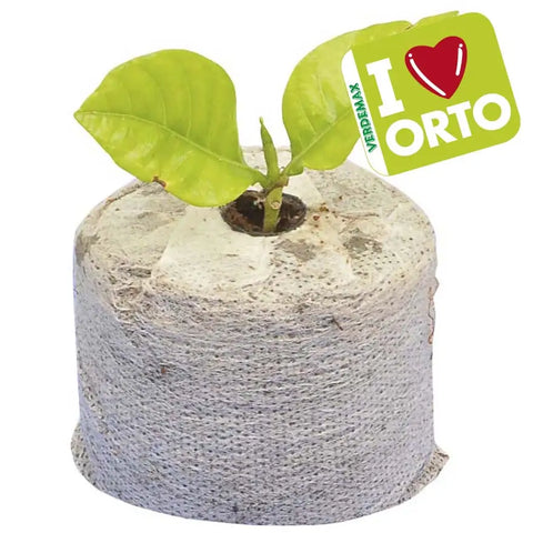 Simegarden Pastiglie in fibra di cocco 4.5 Cm / 12 Pezzi