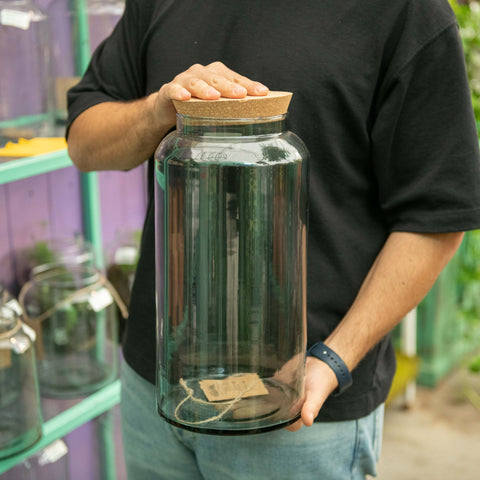 Simegarden Piante in vaso chiuso Terrario da comporre / L
