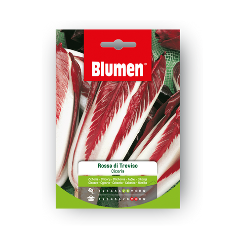 Simegarden Semi Cicoria rossa di Treviso