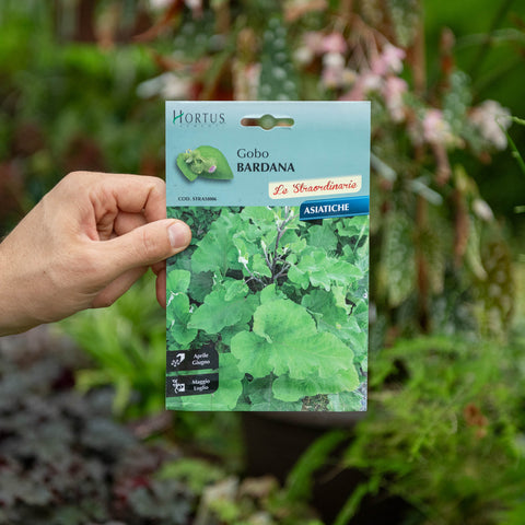 Simegarden Semi di bardana