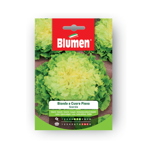 Simegarden Semi di invidia Bionda a Cuore Pieno