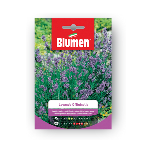 Simegarden Semi di lavanda