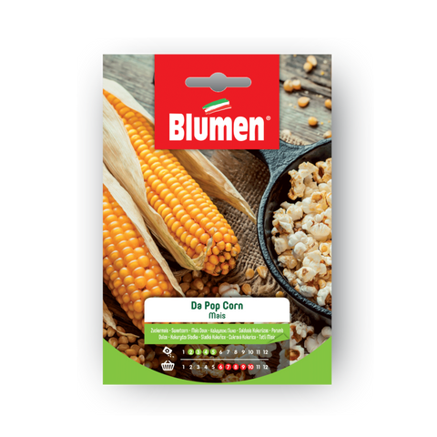 Simegarden Semi di mais per pop corn