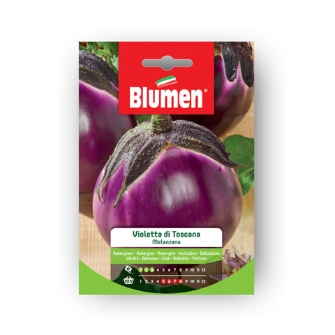 Simegarden Semi di melanzana violetta