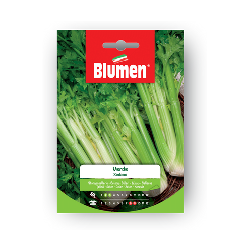 Simegarden Semi di sedano verde