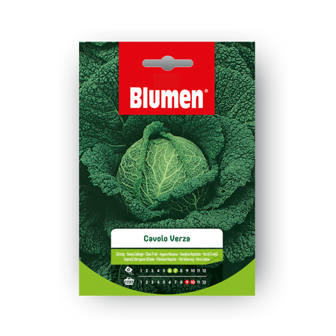 Simegarden Semi di verza