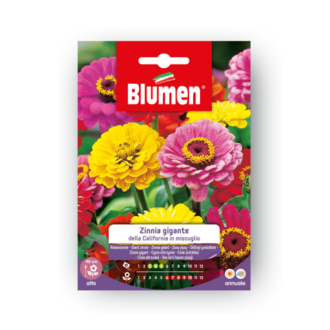 Simegarden Semi di zinnia gigante
