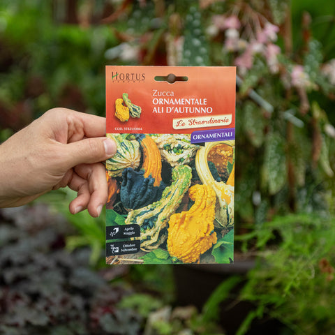 Simegarden Semi di Zucchetta ornamentale