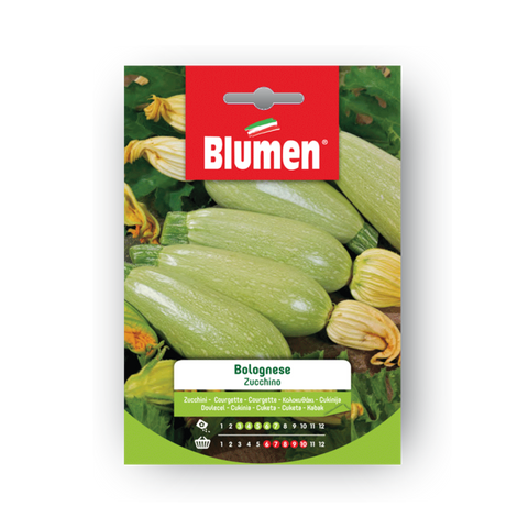 Simegarden Semi di zucchino Bolognese