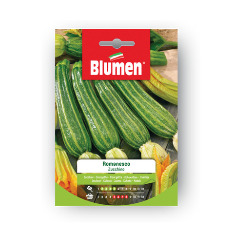 Simegarden Semi di zucchino romanesco