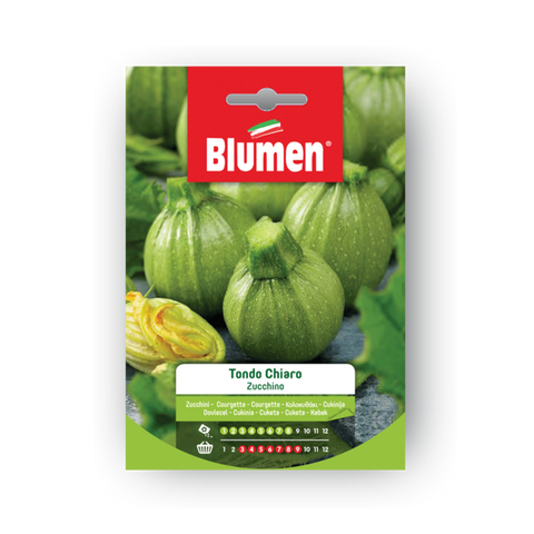 Simegarden Semi di zucchino tondo chiaro