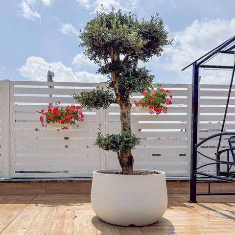 Simegarden Vaso urbano acaya