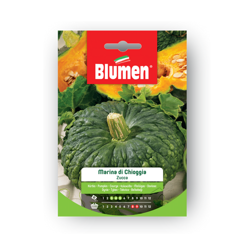 Simegarden Zucca Marina di Chioggia semi