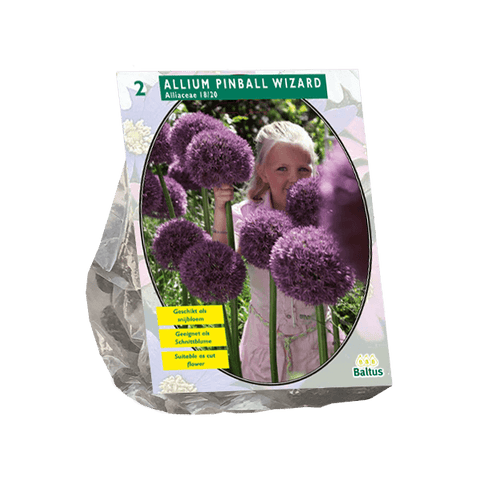 Simegarden Allium mago del flipper 2 / Da Settembre a Dicembre