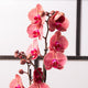 Simegarden Phalaenopsis rossa 12cm / 70cm