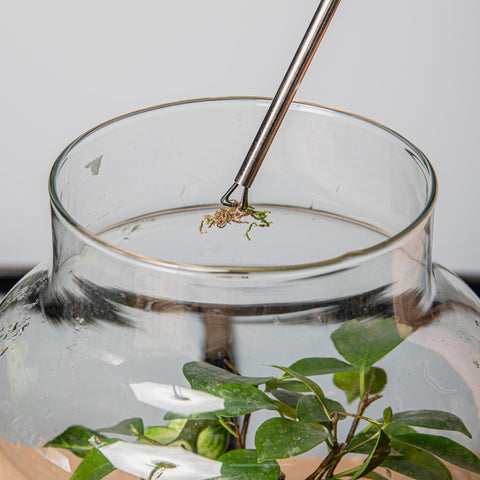 Simegarden Pinza a polipo 55cm