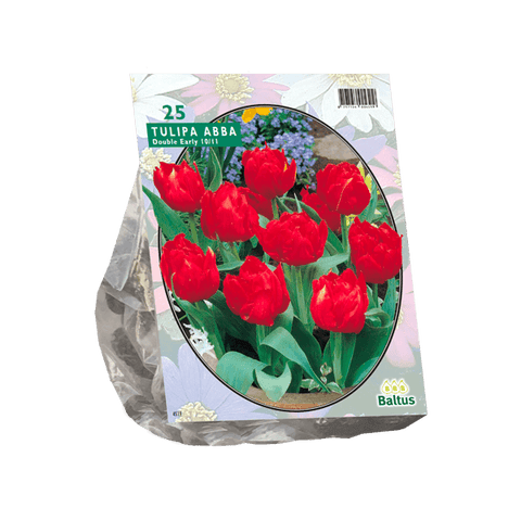 Simegarden Tulipano abba 25
