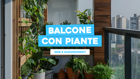 Balcone con piante: Idee e Suggerimenti con Piante Selezionate